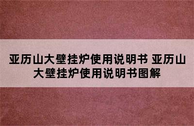 亚历山大壁挂炉使用说明书 亚历山大壁挂炉使用说明书图解